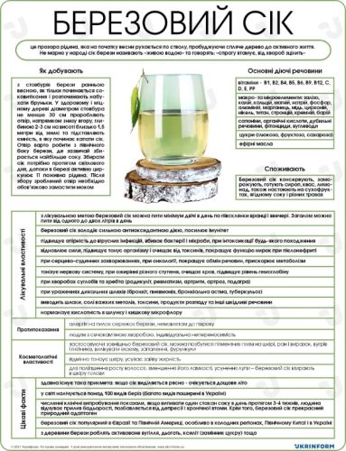 чим корисний березовий сік