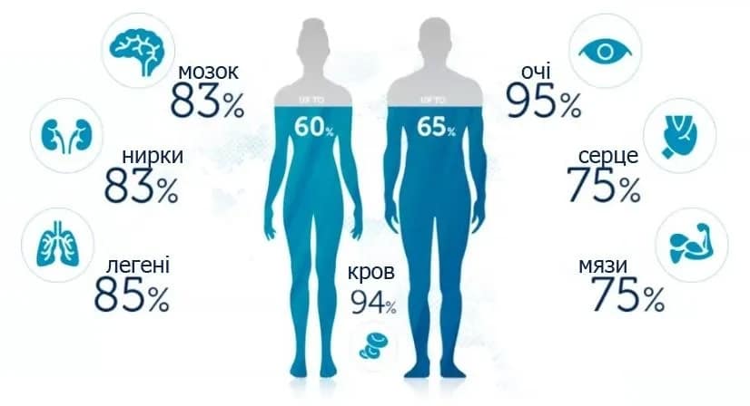 як дізнатися скільки зайвої води в організмі