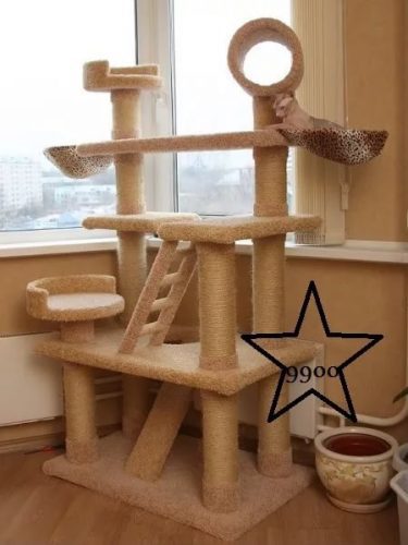 Що потрібно для кота в квартирі