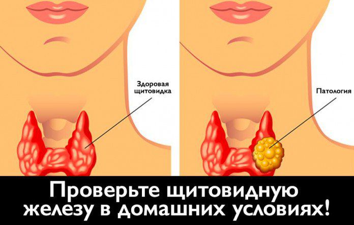 перевірити щитовидку термометром