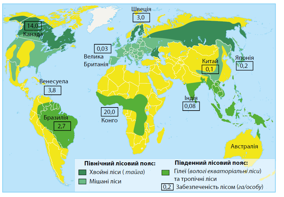 країни з найбільшими площами лісів