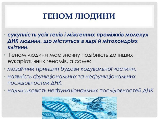 akt