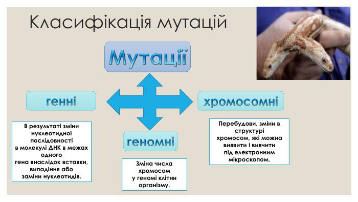 akt
