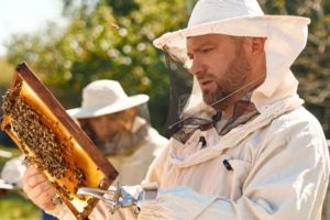 «Пасіка відновлення»: простір для військових від ветерана з Одещини