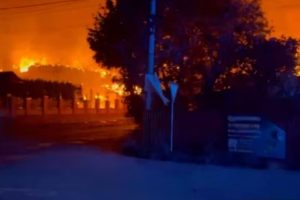 «Злочинна недбалість»: 37 загиблих під Бучею після удару РФ