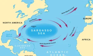 Де знаходиться Саргасове море на карті Атлантики