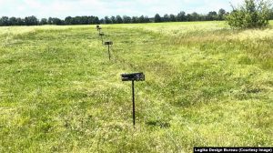 Україна розгорнула «Чагарник» проти оптоволоконних дронів